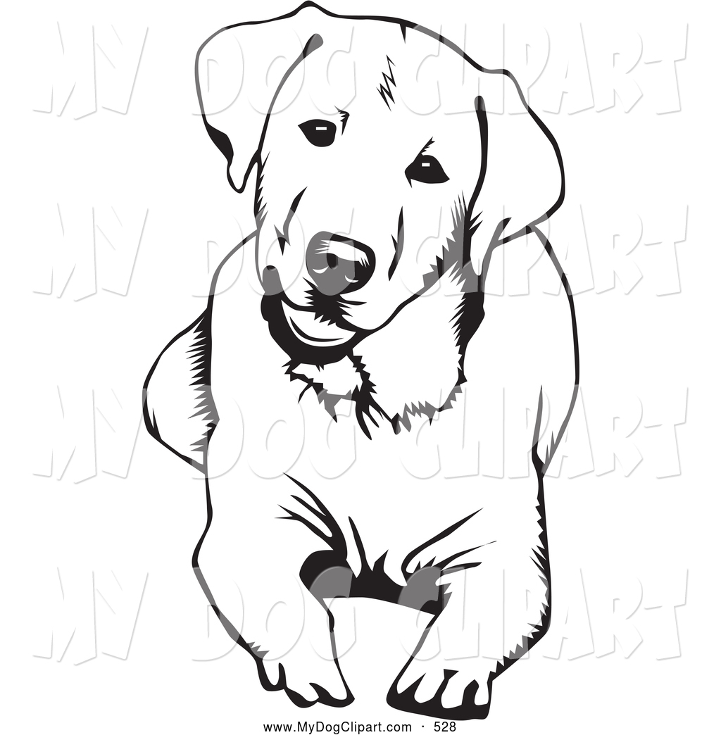 1252 Labrador free clipart.