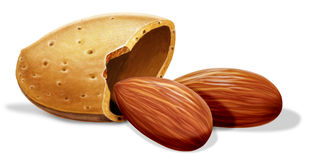 Almond Clipart.