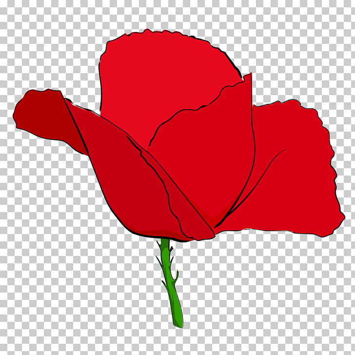 Recuerdo amapola amapola común, amapolas PNG Clipart.