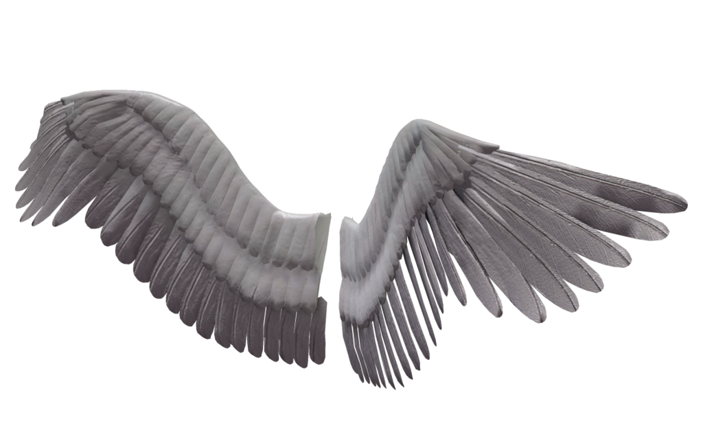 Free Angel Wings Png Tumblr, Download Free Clip Art, Free.