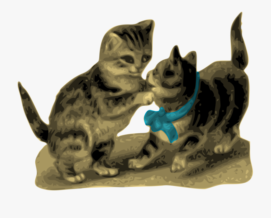 Kitten Clipart Cat Animation.