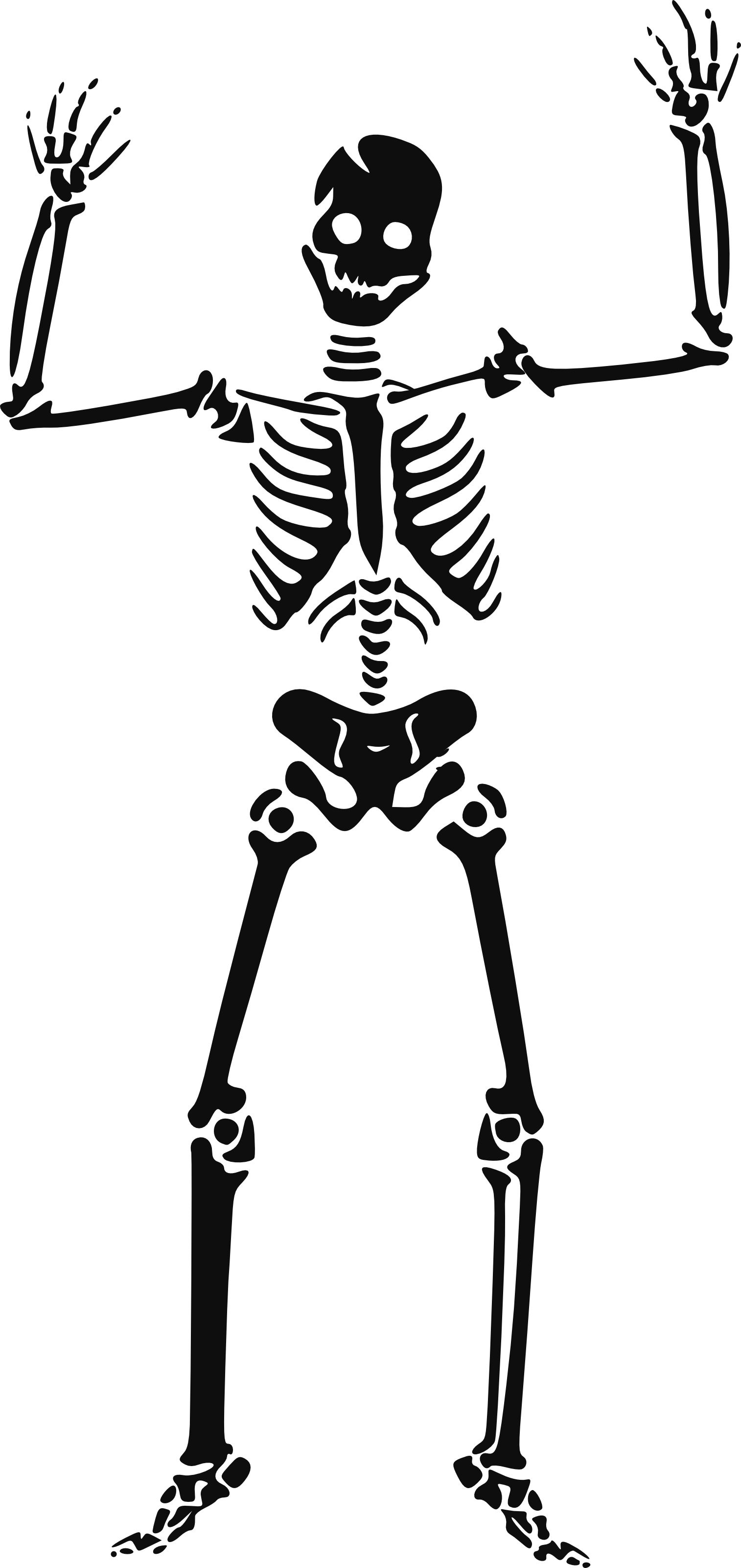 Bones clipart simple, Bones simple Transparent FREE for.