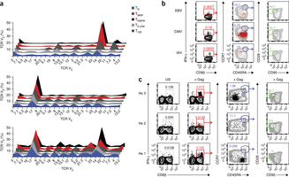 Human memory T cells with a naive phenotype accumulate with aging.