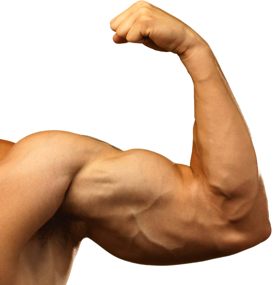 Muscle Arm PNG Background Images.