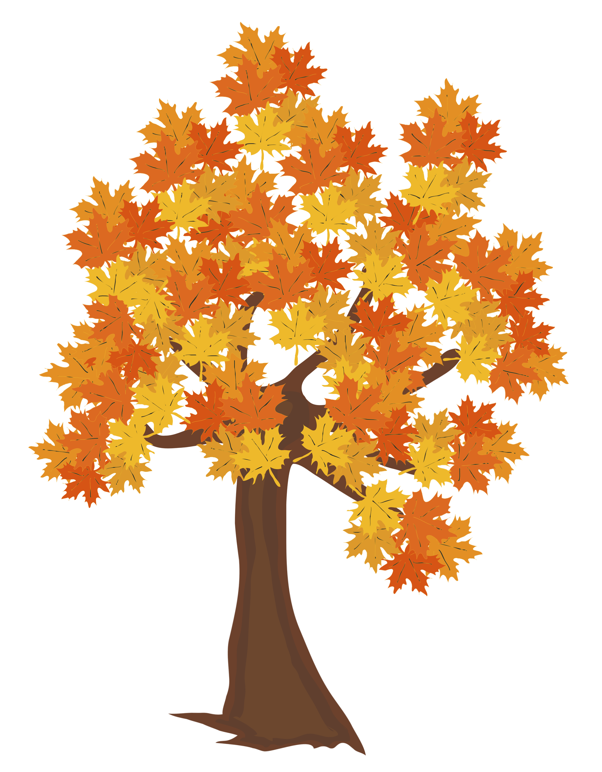 Fall Tree PNG Image.