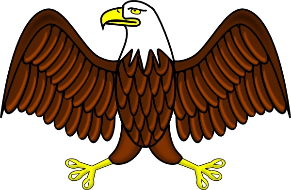 Bald Eagle clip art Free vector in Open office drawing svg ( .svg.