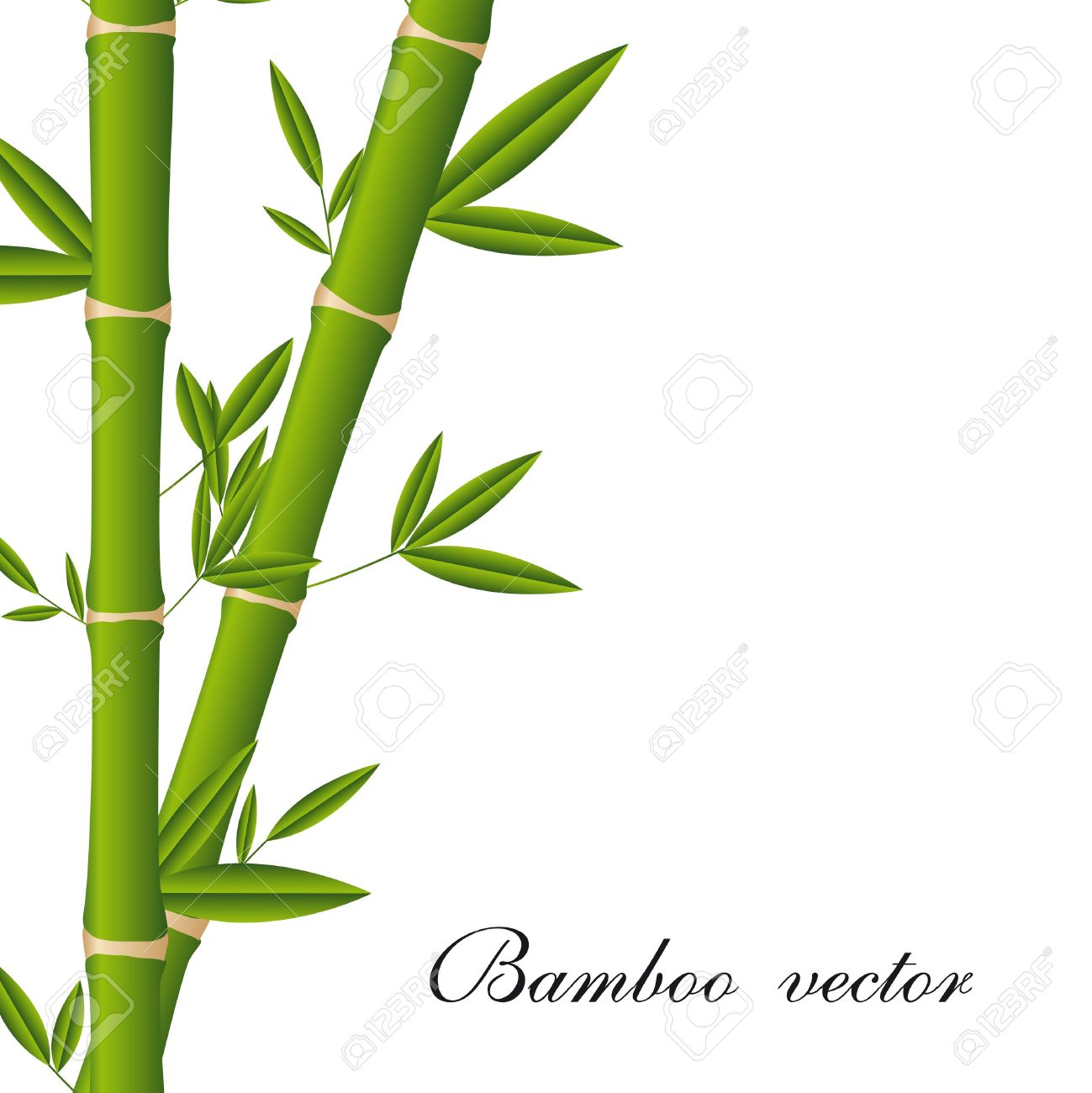 Bamboo leaf clipart.