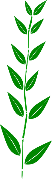 Bamboo Leaves Clip Art.