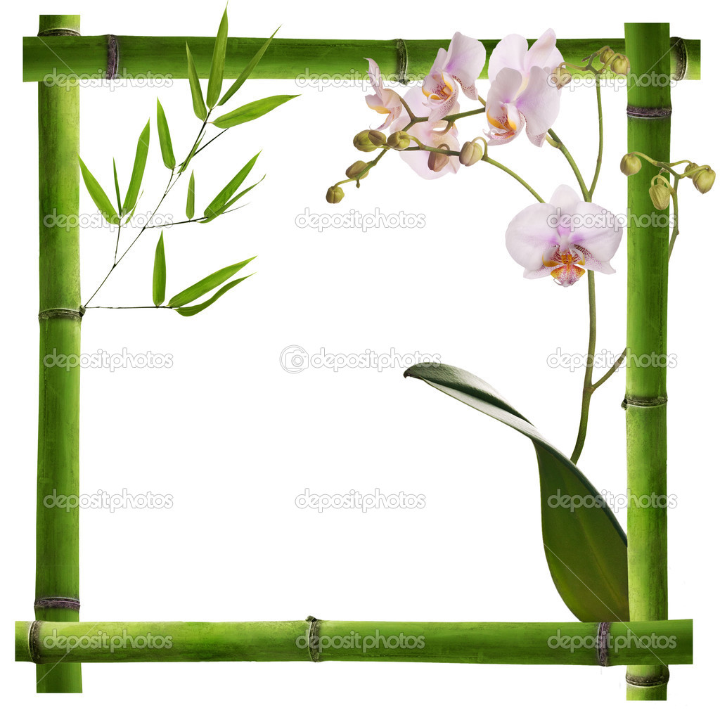 Square frame from green bamboo with orchid flowers — Stock Photo.