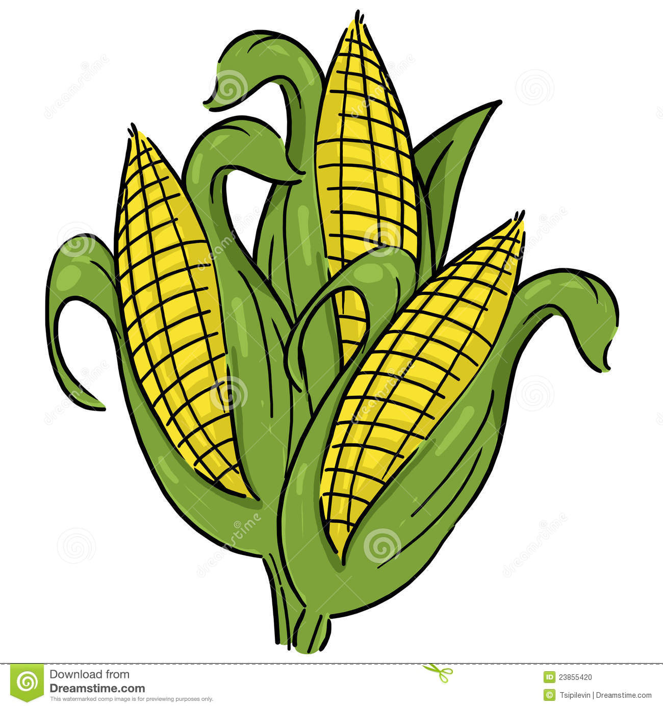 Corn Clip Art & Corn Clip Art Clip Art Images.