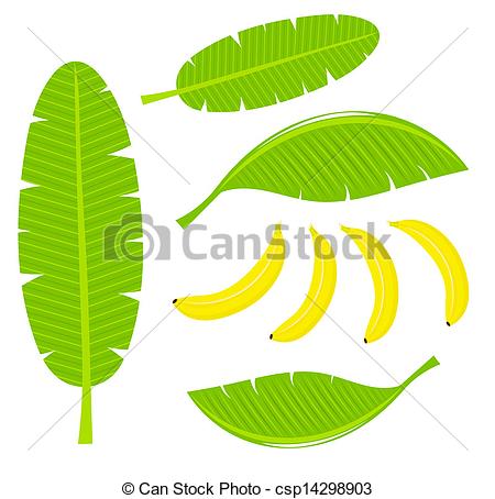 Banana leaf Clip Art and Stock Illustrations. 3,941 Banana leaf.