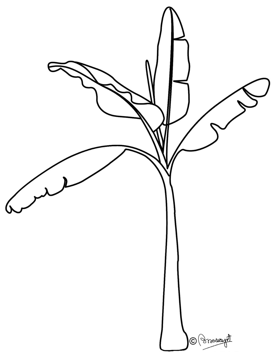 Free Banana Plant Cliparts, Download Free Clip Art, Free.