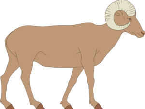 Big horn sheep clipart.