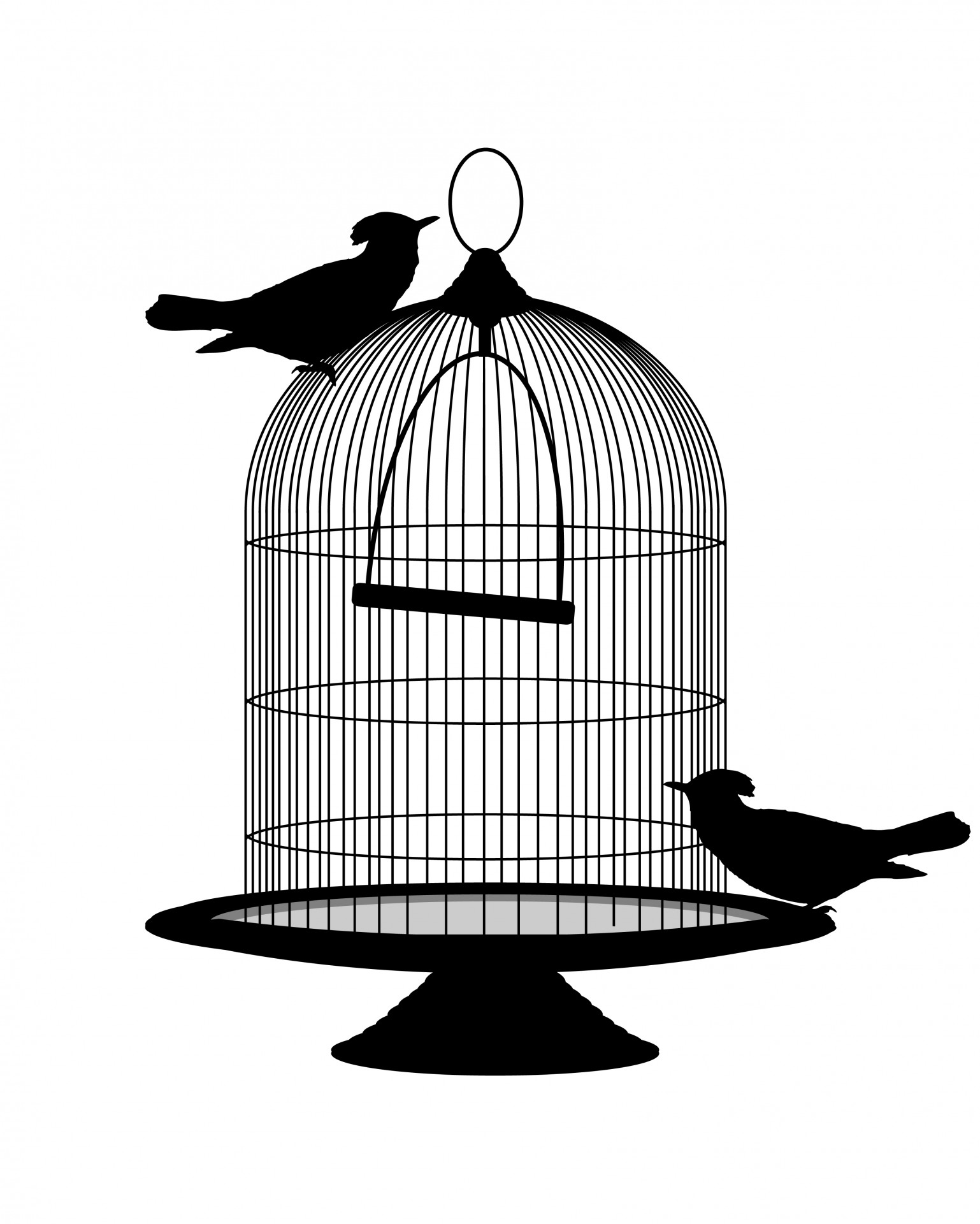 Birds Vintage Birdcage Clipart Free Stock Photo.