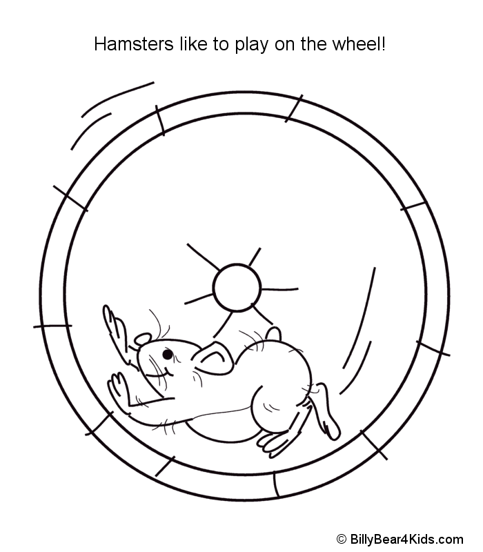 Free Hamster Black And White Clipart, Download Free Clip Art.