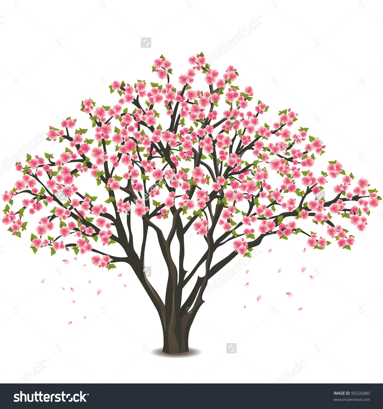 Cherry blossom tree clipart black background.