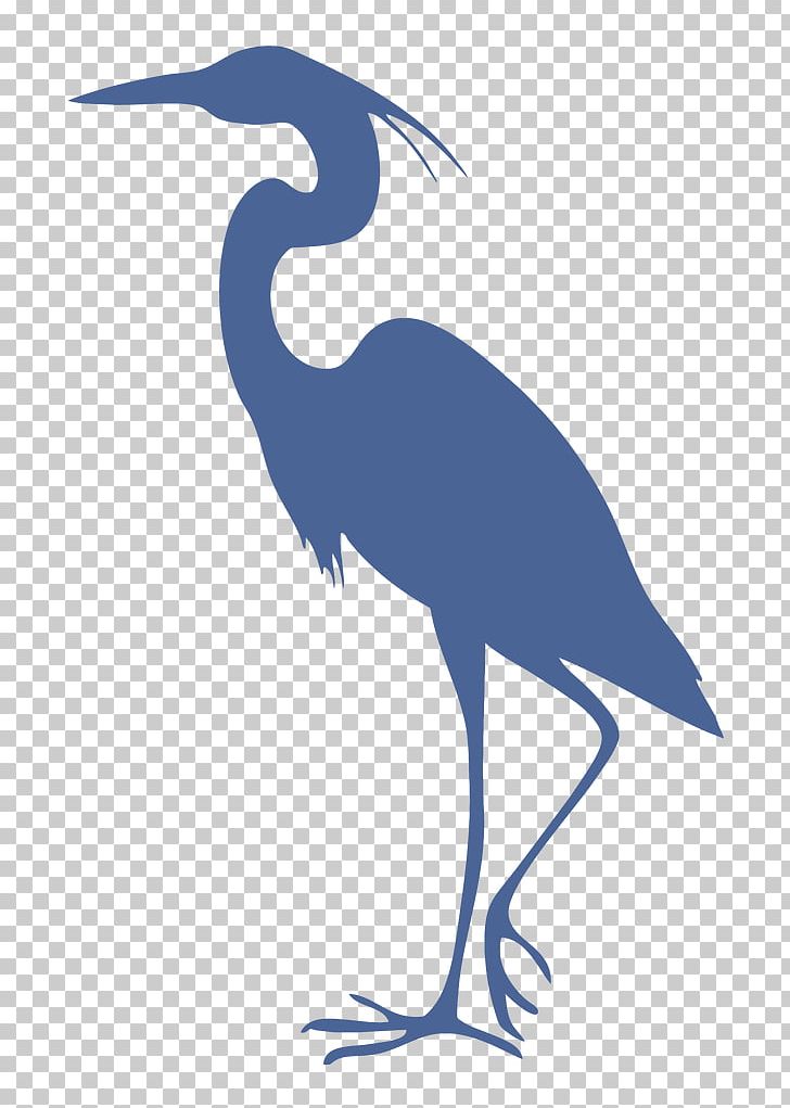 Great Blue Heron Grey Heron Bird Cleaning PNG, Clipart.