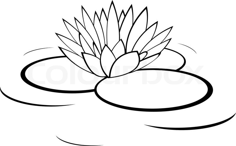 Lily Ponds Clipart.