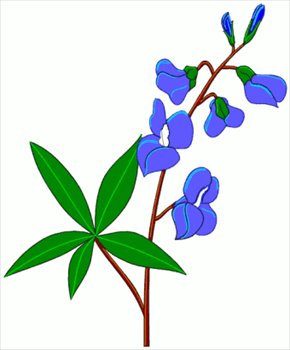 Flower clip art bluebonnet.