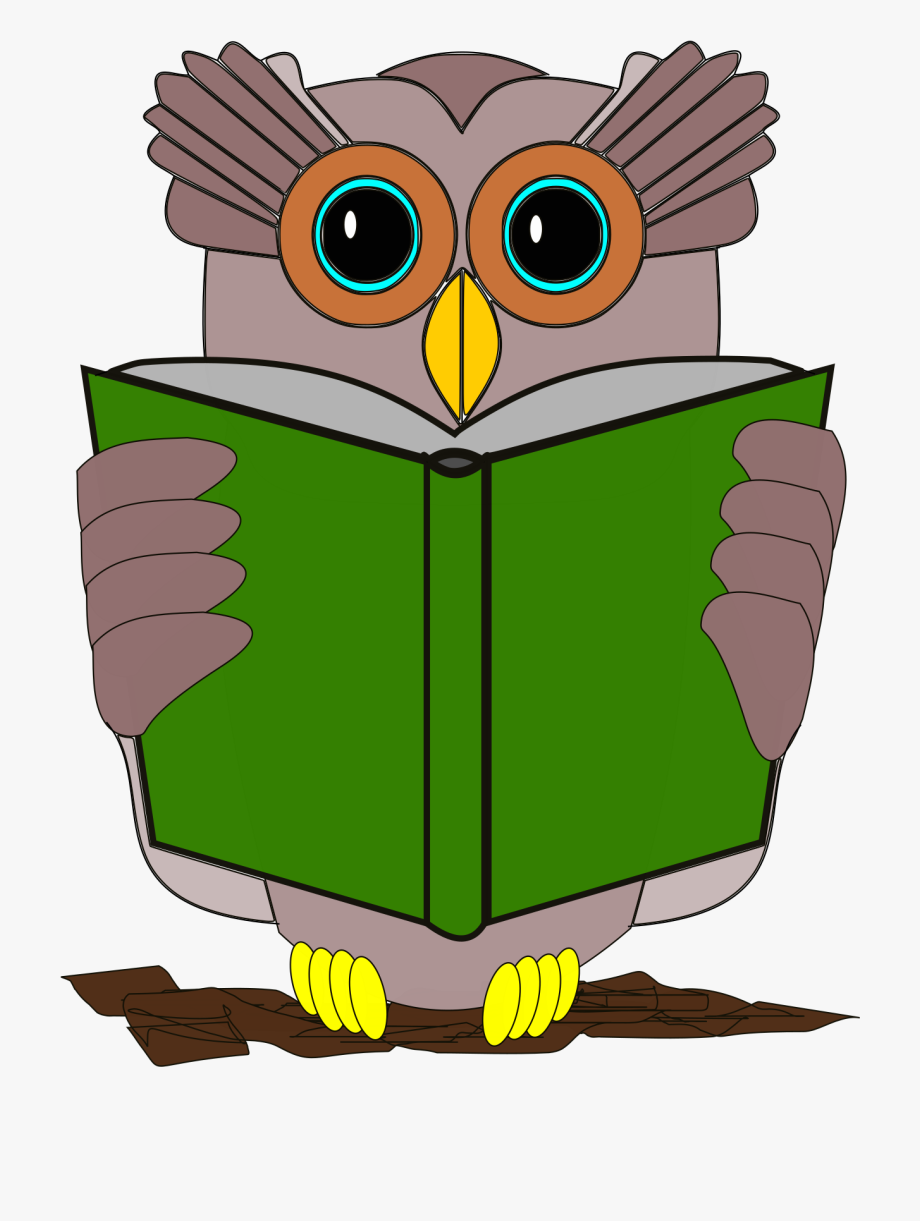 Reading Owl Clipart.