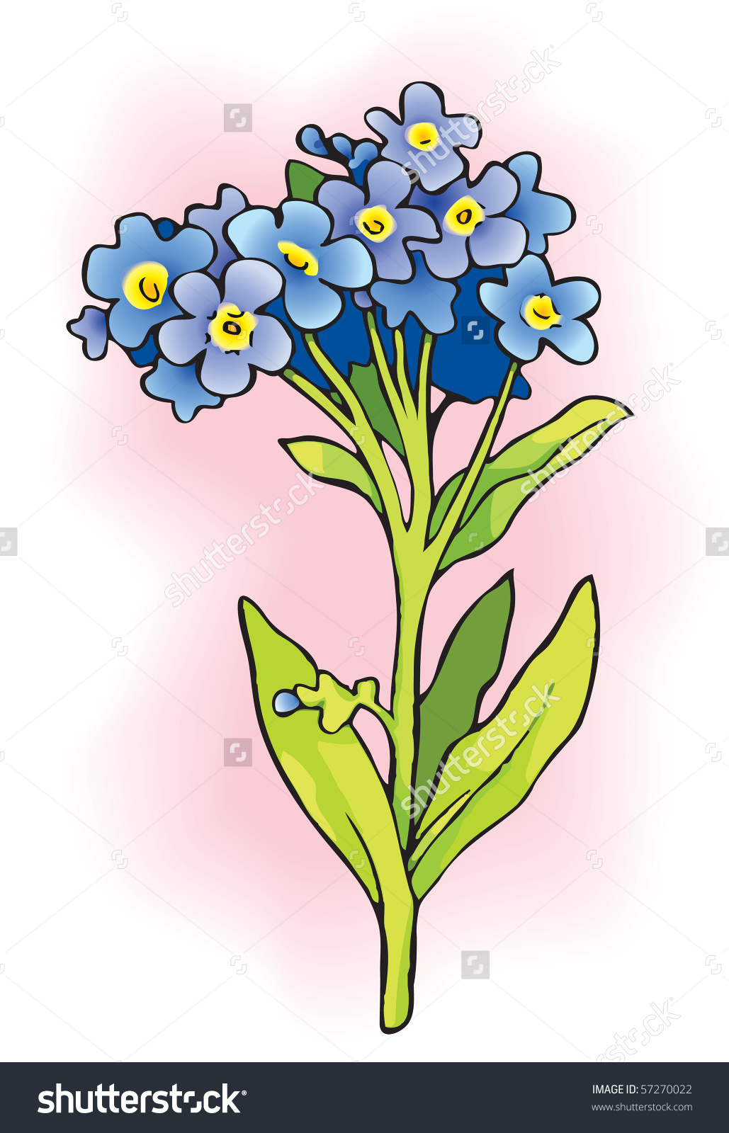 Vector Drawing Sprig Myosotis Flowering Plants Stock Vector.