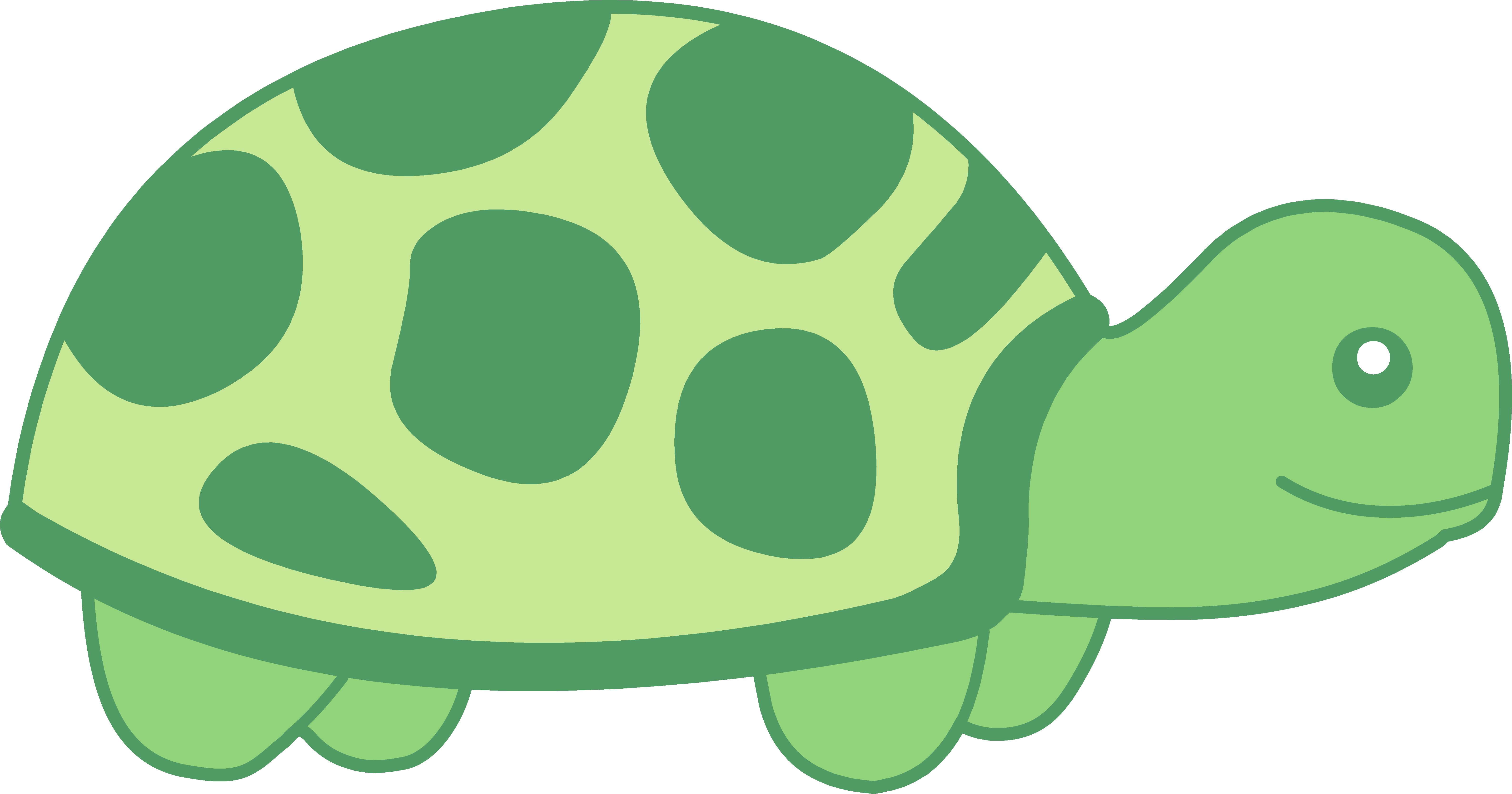 Box turtle clipart black white.