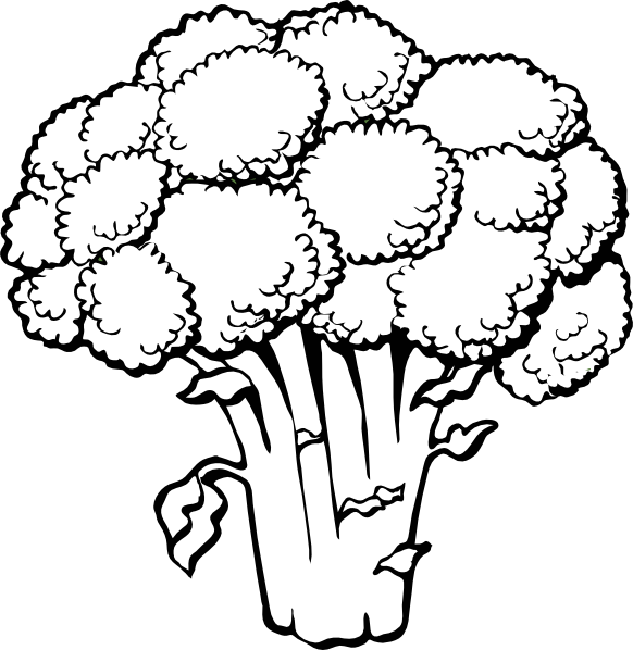 Broccoli Clipart Black And White.