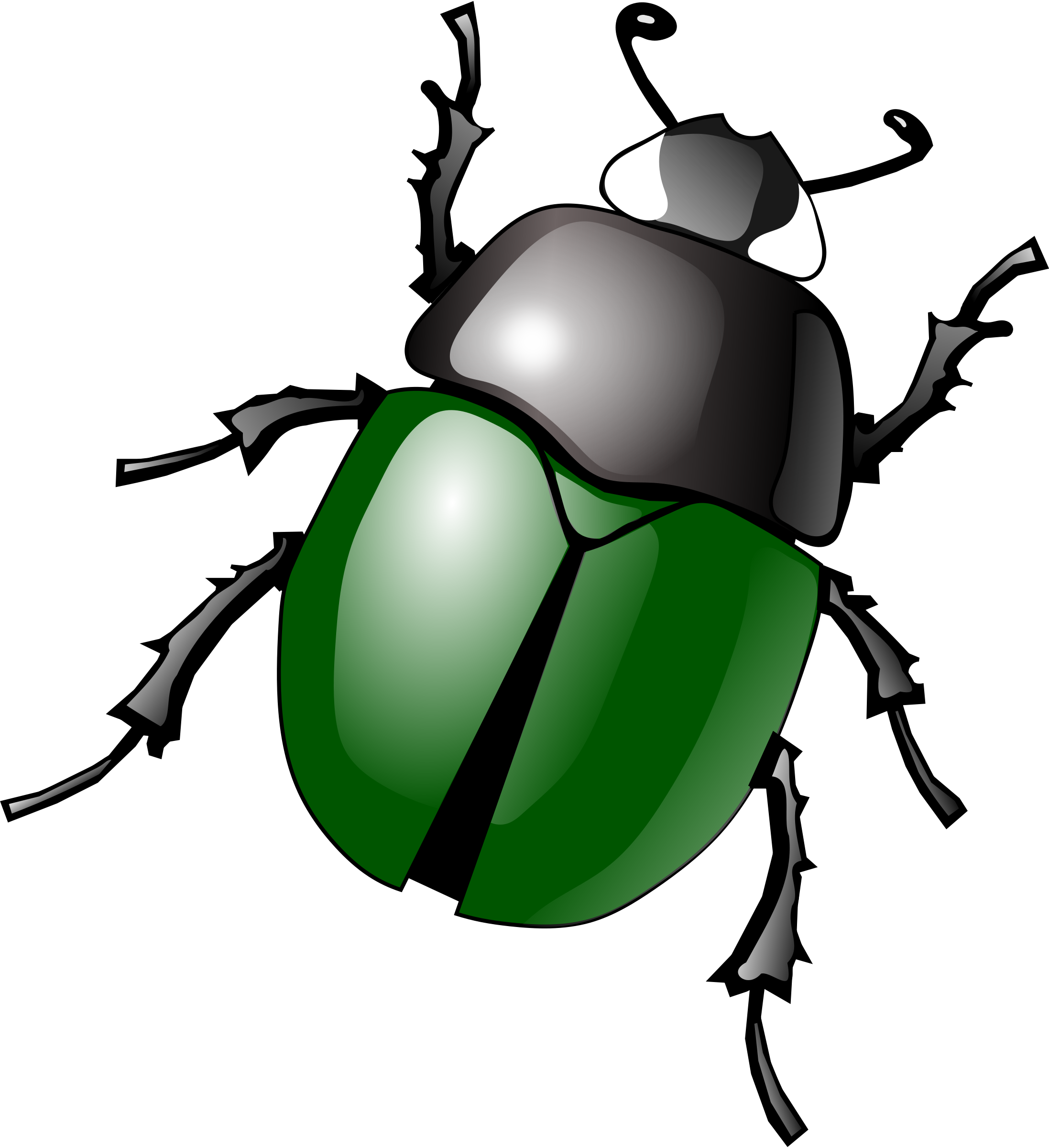 Bug Clip Art Black And White Free.