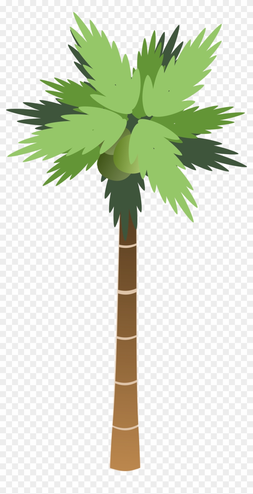 Palm Tree Vector Clipart.