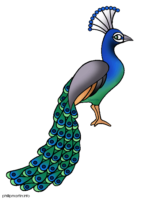 peacock clipart free.