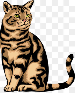 Wild Cat PNG and Wild Cat Transparent Clipart Free Download..