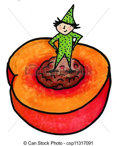 Stock Illustration of Nectarine or Peach.