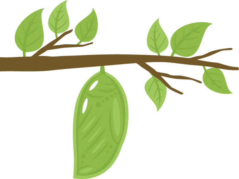 Chrysalis Clipart.