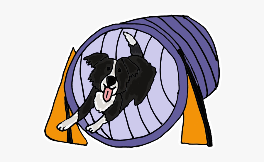 Border Collie Agility Cartoon , Free Transparent Clipart.