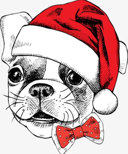 Celebrate Christmas Dog PNG, Clipart, Animal, Birthday.