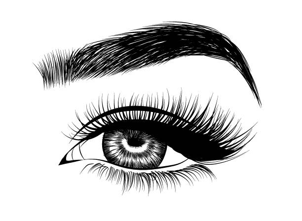 Best Eyebrows Illustrations, Royalty.