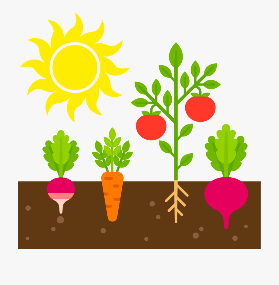 Vegetable Garden Clipart, Cliparts & Cartoons.