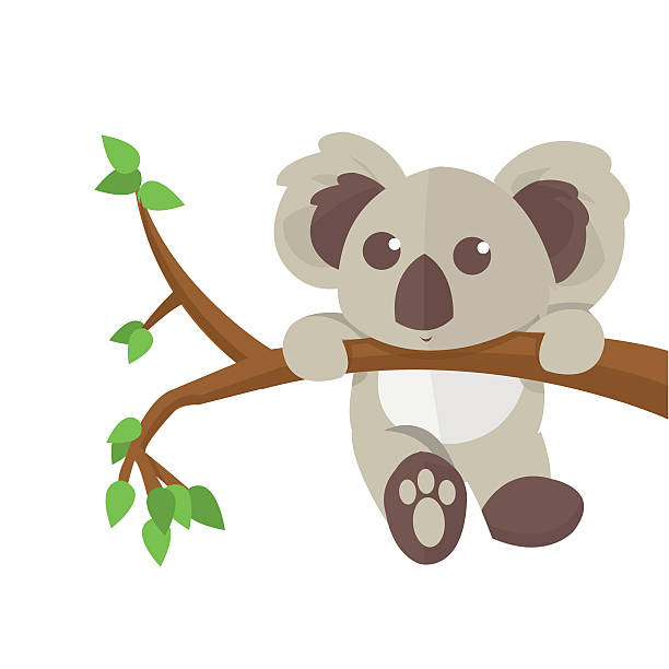 Top 60 Koala Clip Art Vector Graphics And Illustrations IStock.