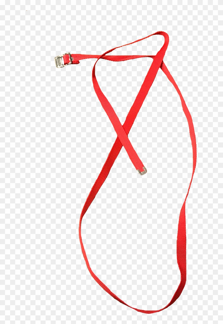 Nylon Strap Red 5 Ft Clipart (#3814975).