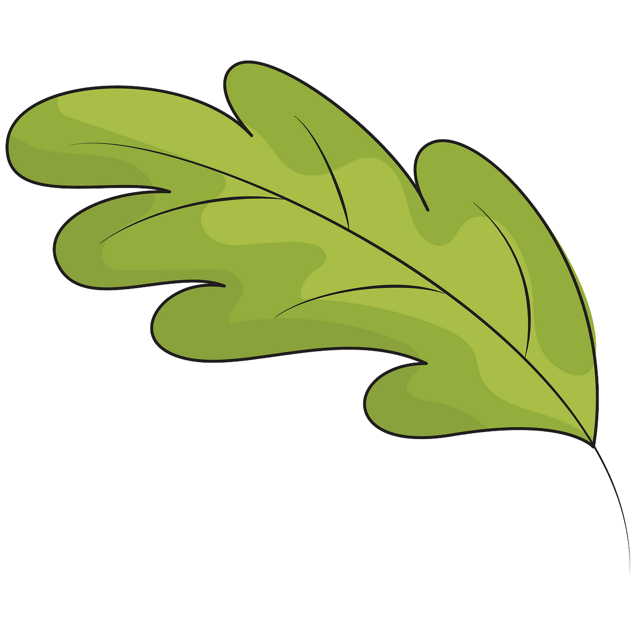 Green oak leaf clipart. Free download..