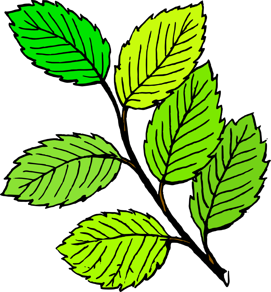 Clipart Leaves & Leaves Clip Art Images.