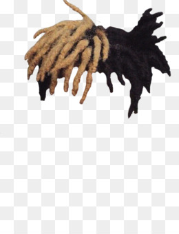 Dreadlocks PNG.