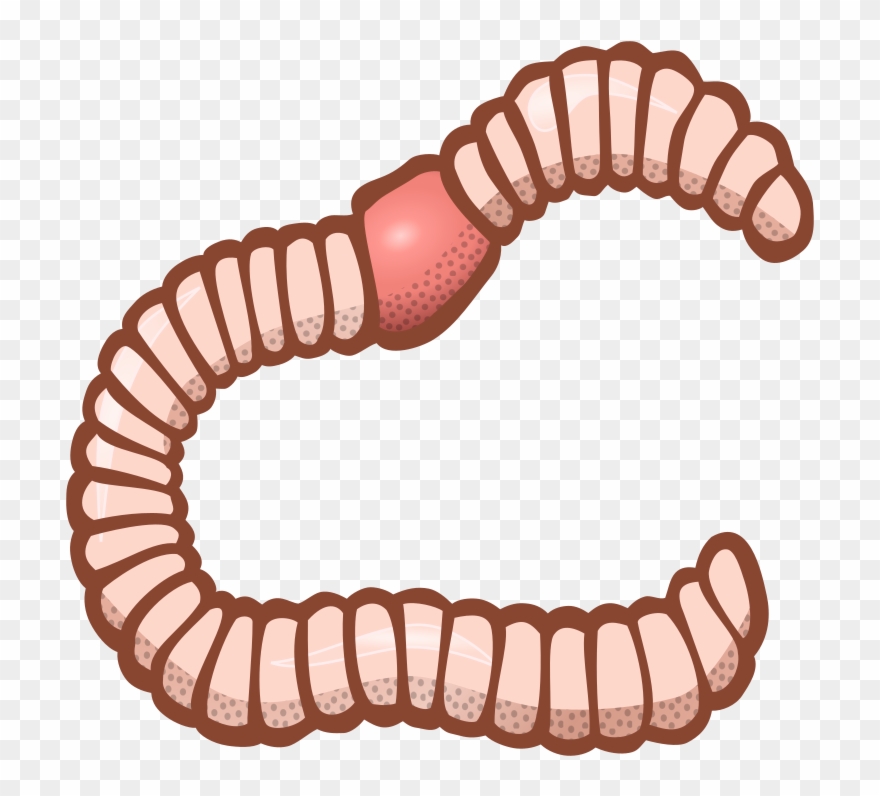 Earthworm Computer Icons Encapsulated Postscript Download.