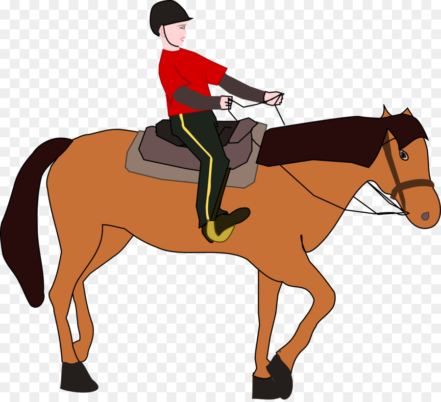 Horse Cartoontransparent png image & clipart free download.