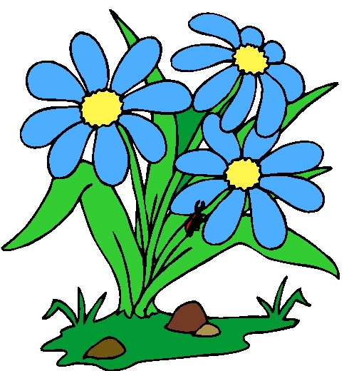 Plants clipart pictures.