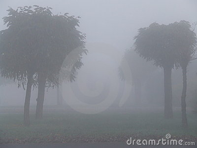 Foggy Fall Clipart.