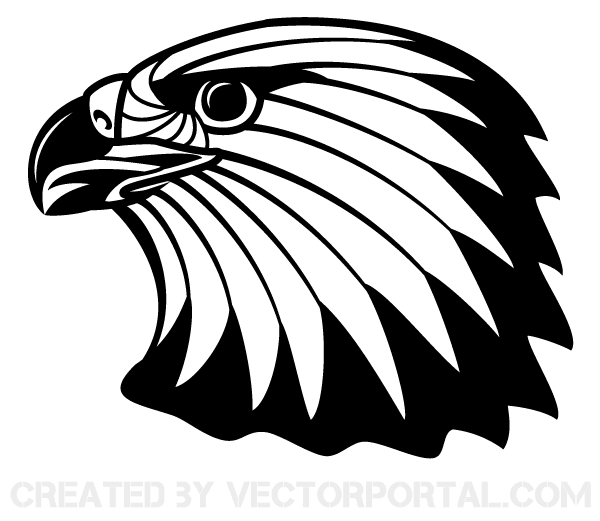 12 Eagle Feather Clip Art Vectors.