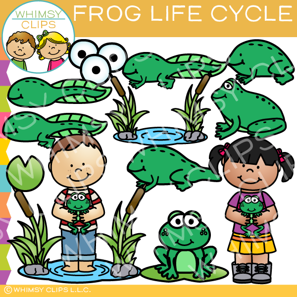 Frog Life Cycle Clip Art.