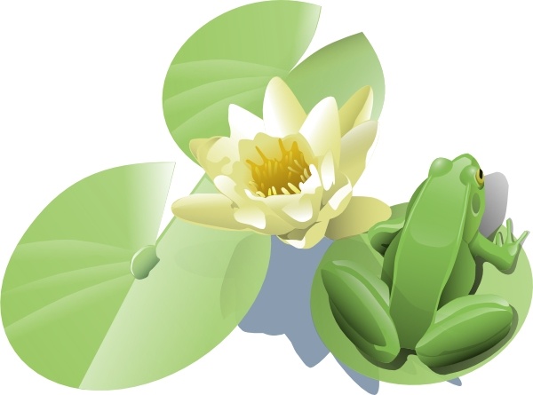 Leland Mcinnes Frog On A Lily Pad clip art Free vector in.