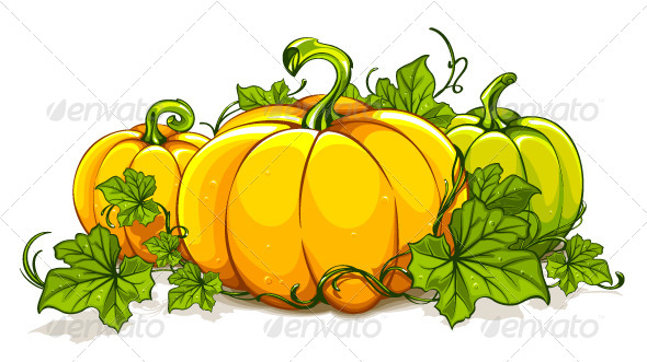 Pumpkin Plant Clipart.